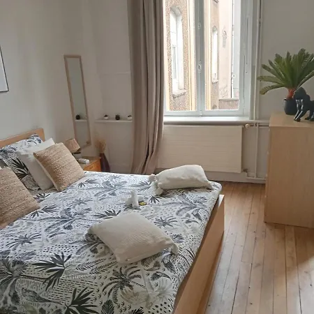 Appartement Gare Centre Parking Nancy