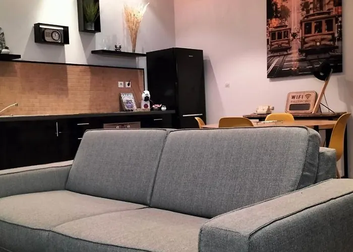 Gare Centre Parking Appartement Nancy