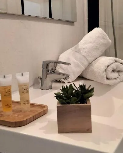 Gare Centre Parking Daire Nancy