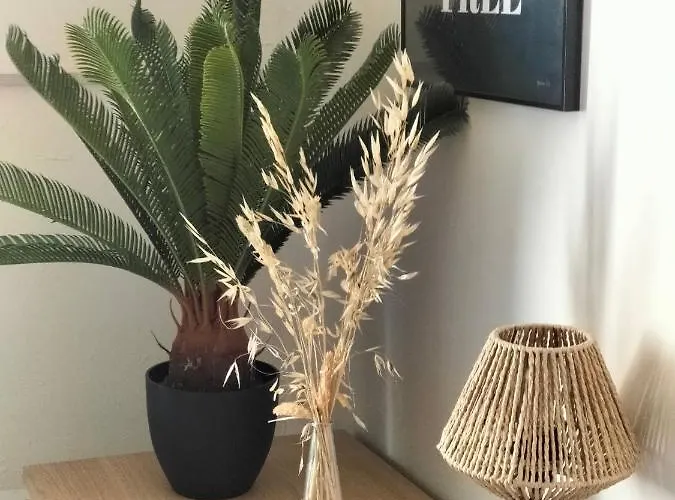 Gare Centre Parking Daire Nancy