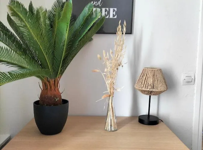 Gare Centre Parking Appartement Nancy