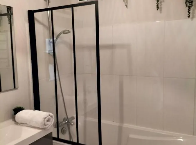 Gare Centre Parking Appartement Nancy