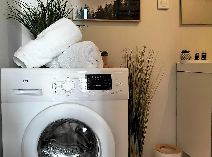 Gare Centre Parking Daire Nancy