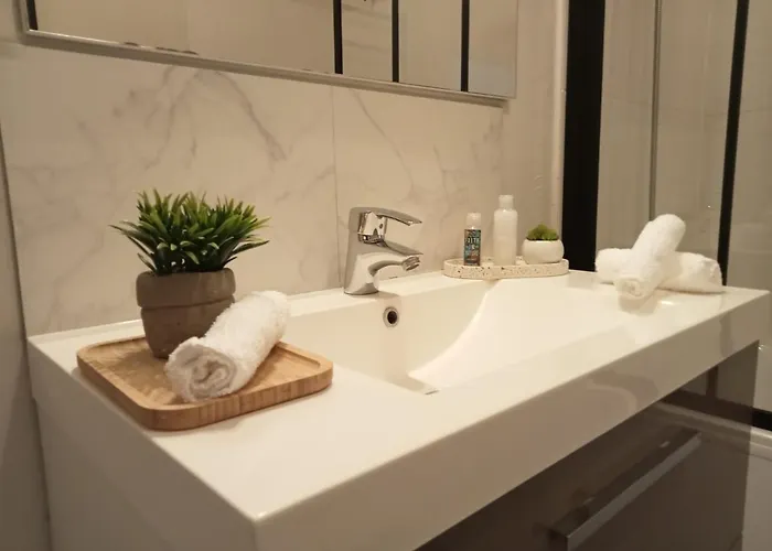 Gare Centre Parking Daire Nancy